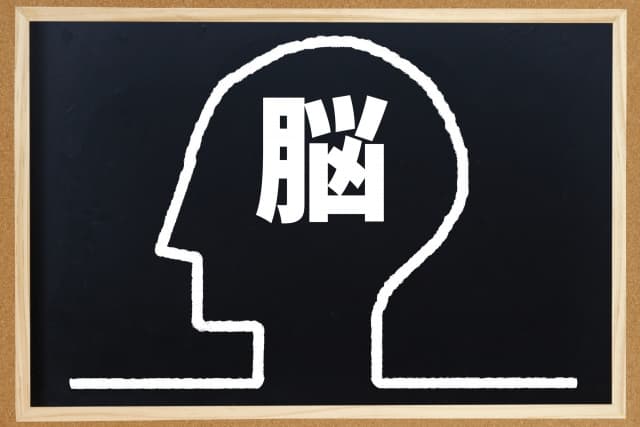 人間の本能