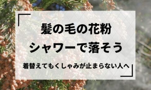 髪の毛の花粉はシャワーで洗い落とそう
