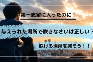 与えられた場所で咲きなさいは本当？